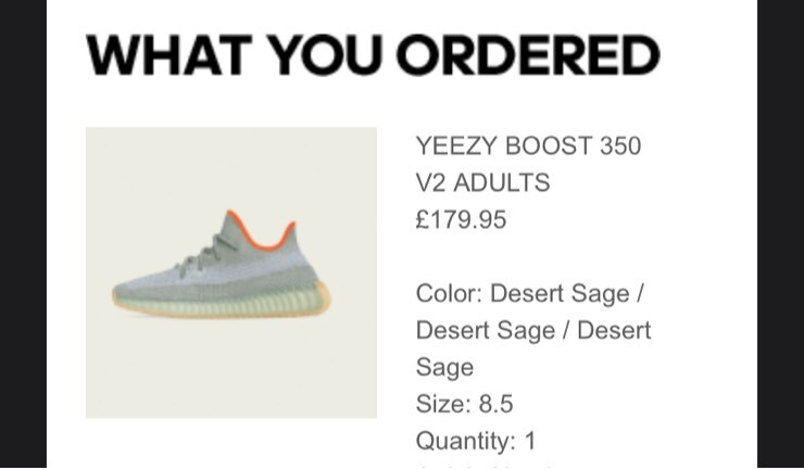 Yeezy 350 V2 2019 Drops